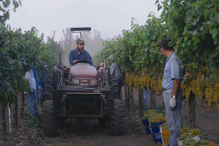 harvest