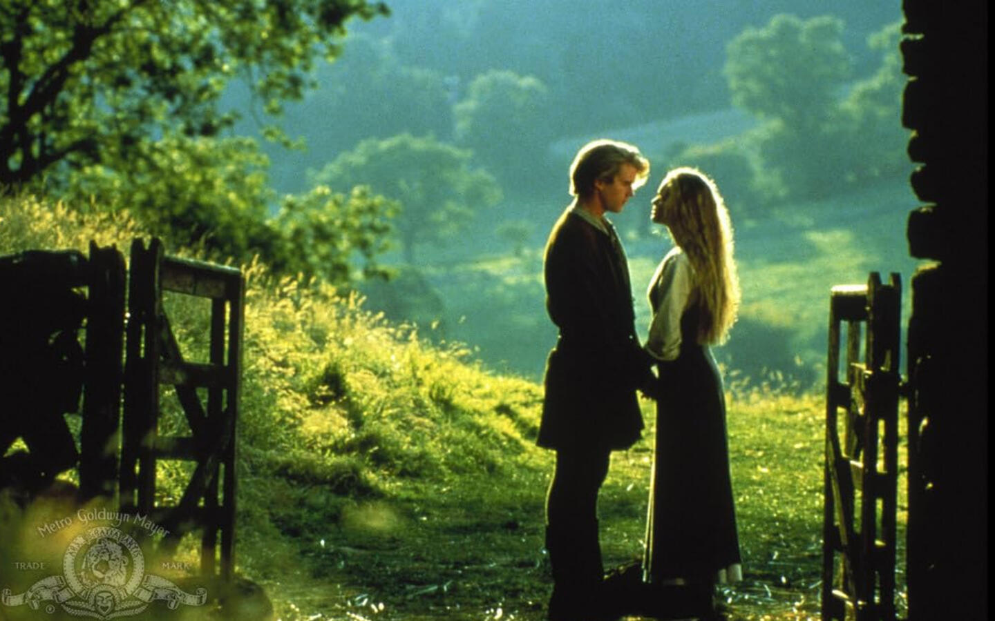 princess bride